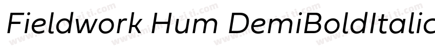 Fieldwork Hum DemiBoldItalic字体转换